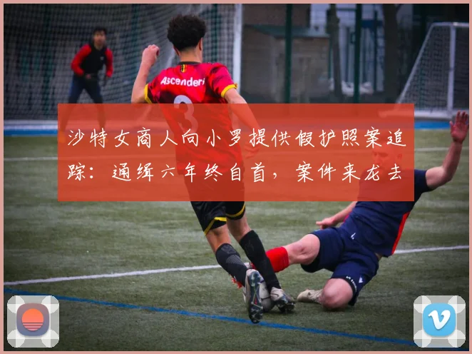 沙特女商人向小罗提供假护照案追踪：通缉六年终自首，案件来龙去脉详解